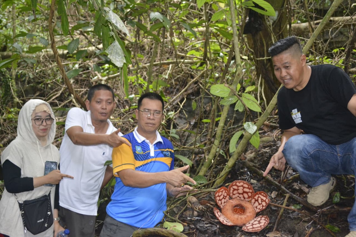 Menyusuri Jejak Rafflesia di Jantung Hutan Anambas, Ketika Alam Menjadi Harapan Baru Pariwisata