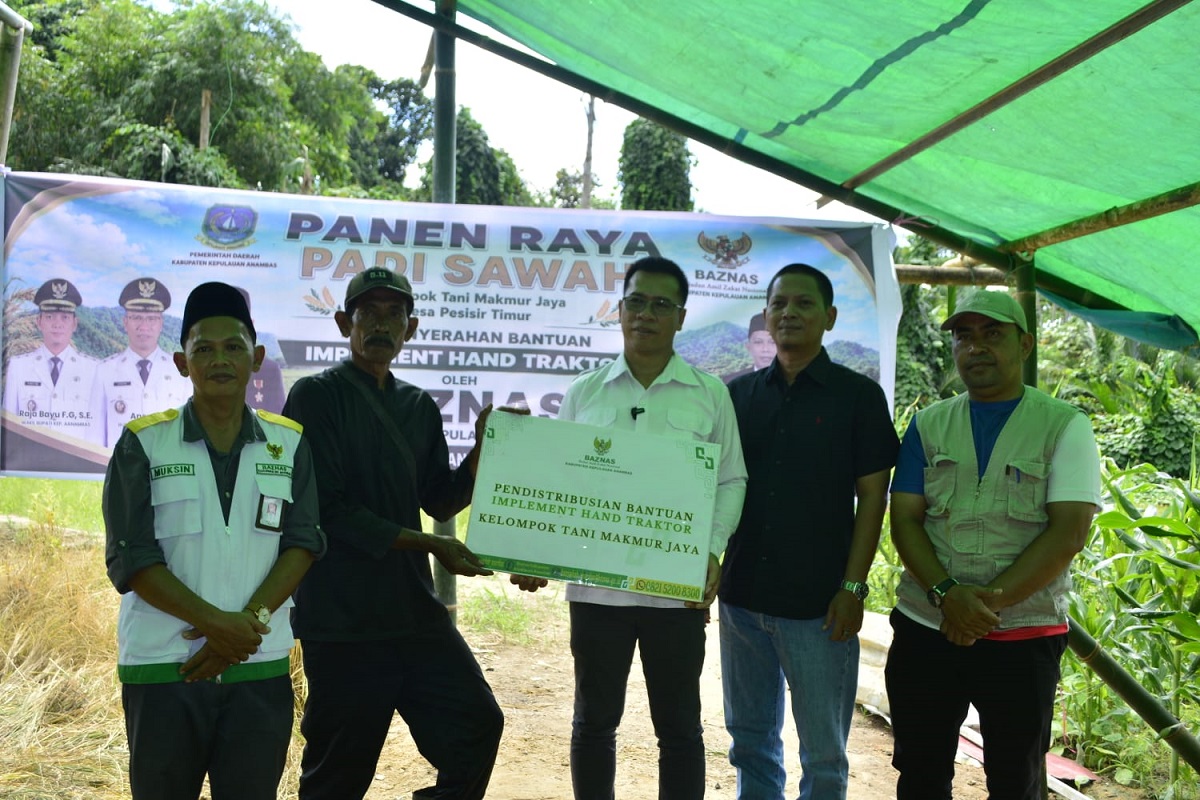 Panen Padi Jadi Kado HUT ke-18 Anambas, Pemkab Perkuat Ketahanan Pangan Lewat Bantuan Alat Pertanian