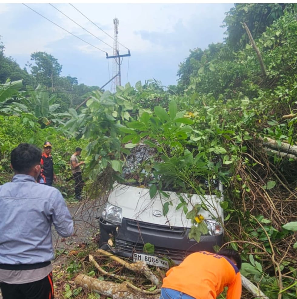 Polisi, BPBD dan Warga Bahu Membahu Evakuasi Korban Pohon Tumbang di Anambas