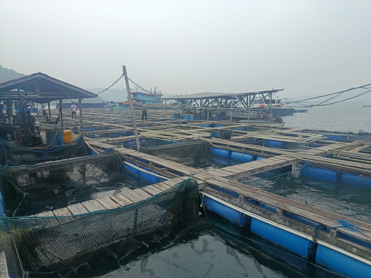 Penjaga Keramba Dibacok Saat Hadapi 2 Orang Bermasker, Polisi Buru Pelaku di Anambas